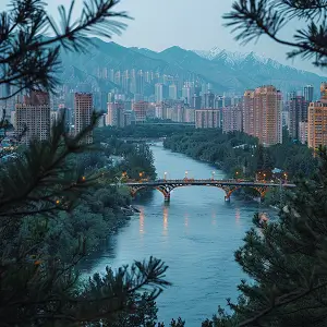 如何介绍宠物公司